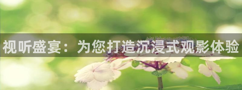 九九影院在线观看免费最新：视听盛宴：为您打造沉浸式观影体验