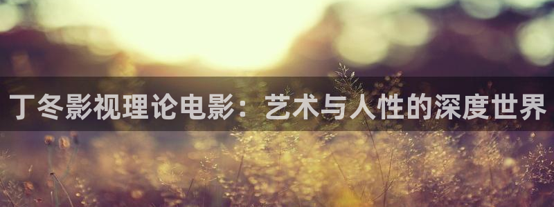 九九秋霞电影：丁冬影视理论电影：艺术与人性的深度世界