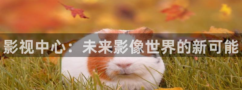 在线视频九九：影视中心：未来影像世界的新可能