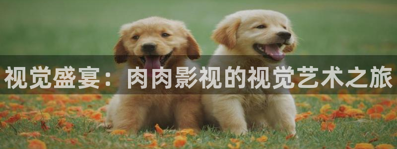 九九热视频免费看：视觉盛宴：肉肉影视的视觉艺术之旅