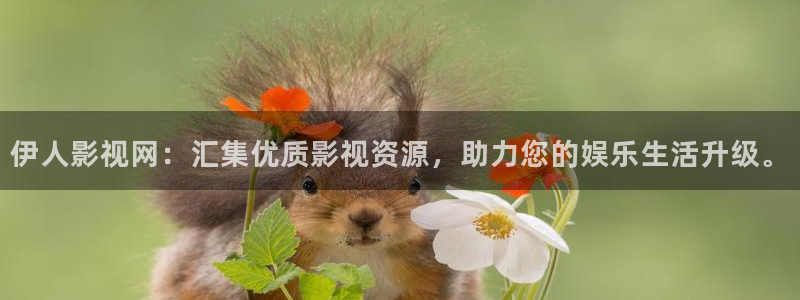 九九小视频：伊人影视网：汇集优质影视资源，助力您的娱乐生活升级。