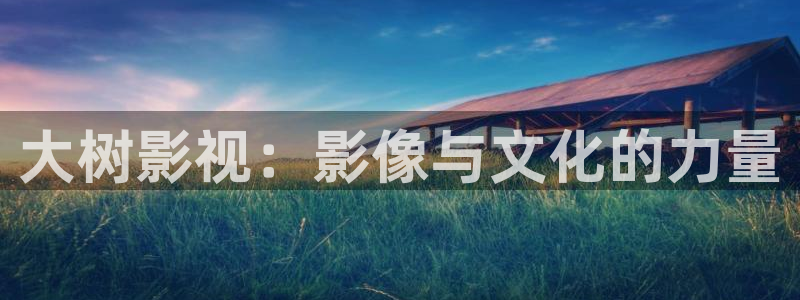九九精选在线观看：大树影视：影像与文化的力量